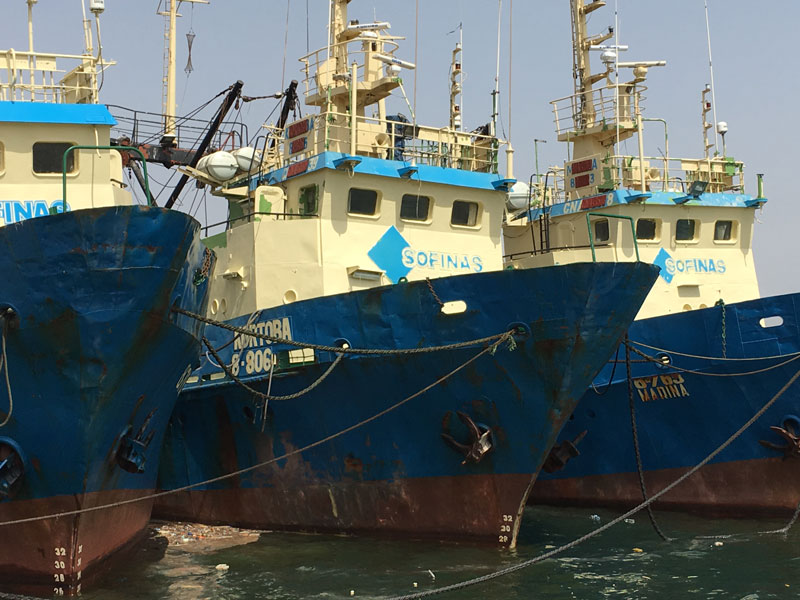 MON VOYAGE AU MAROC - Page 17 Port-agadir-bateaux-couple