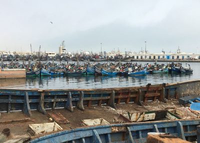 port-agadir-bateaux-de-peche