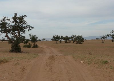 desert-secret-agadir-paysage