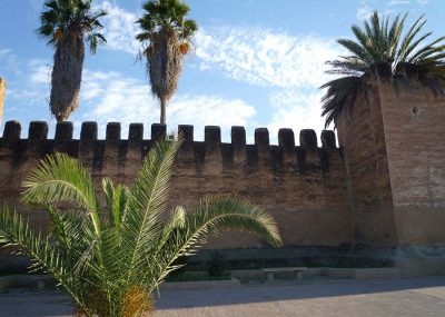 taroudant-dar-rayat-palmiers-remparts-palais-salam