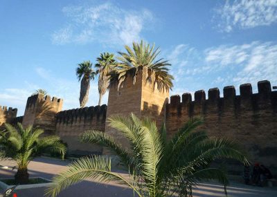 taroudant-dar-rayat-remparts-et-palmiers