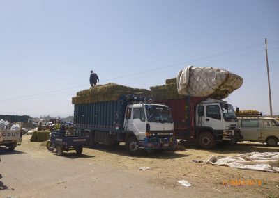 Taroudant-Souk du dimanche-Camions de paille