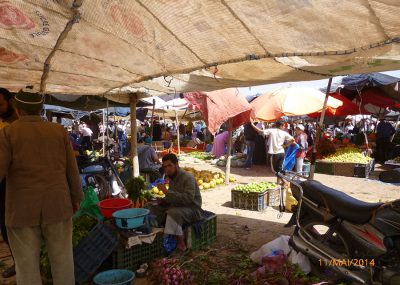 Taroudant-Souk du dimanche-Navets