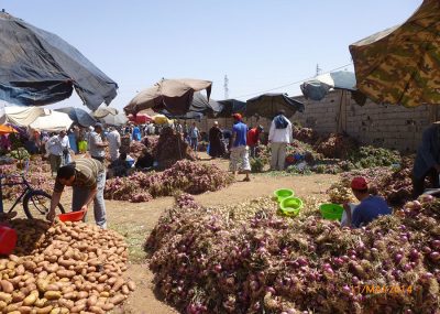 Taroudant-Souk du dimanche-Les oignons pour le tajine