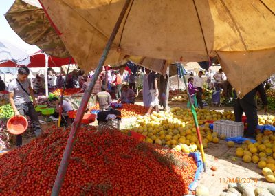 Taroudant-Souk du dimanche-La saison des tomates