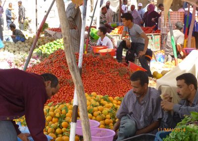 Taroudant-Souk du dimanche-Les tomates en vrac