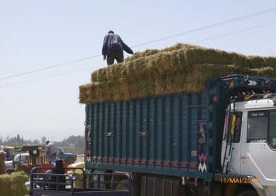 Taroudant-Souk du dimanche-Vente de paille