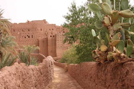 agdz-kasbah-de-tamnougalt-entree