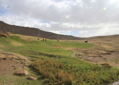 jebel-siroua-anes