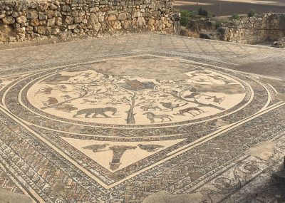 volubilis-mosaique-maison-orphee