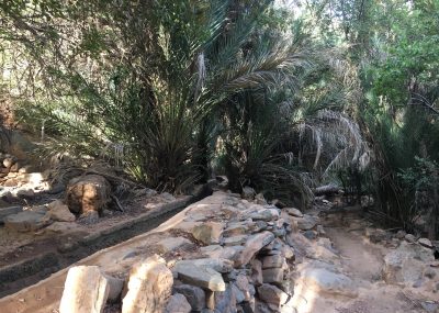 Amtoudi - Ballade dans les gorges