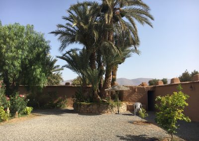 Oasis Tighmert- Villa Boujouf