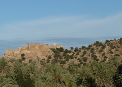 Tioute-casbah vue de la palmeraie