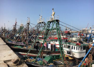 Laâyoune-port de pêche
