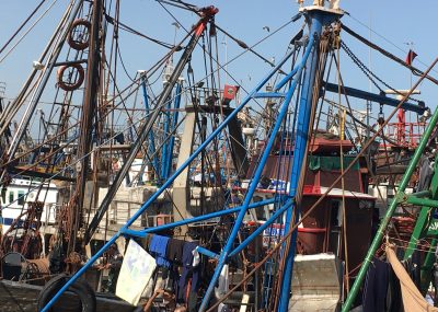 Laâyoune-port de pêche