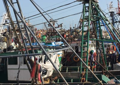 Laâyoune-port de pêche