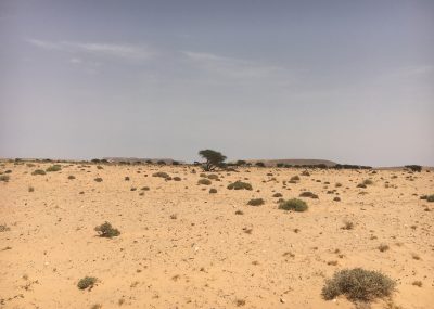 Smara-paysage route Laâyoune smara