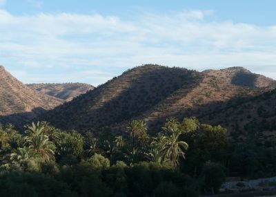 Tioute-la palmeraie au pied de l