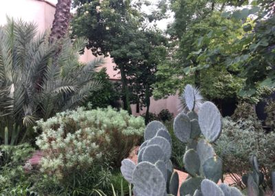 Marrakech-Jardin secret