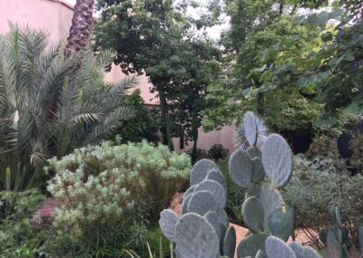 Marrakech-Jardin secret