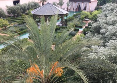 Marrakech-Jardin secret