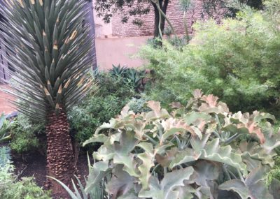 Marrakech-Jardin secret