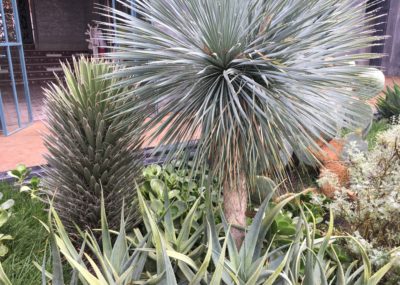 Marrakech-Jardin secret