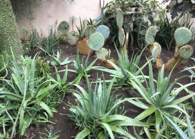 Marrakech-Jardin secret